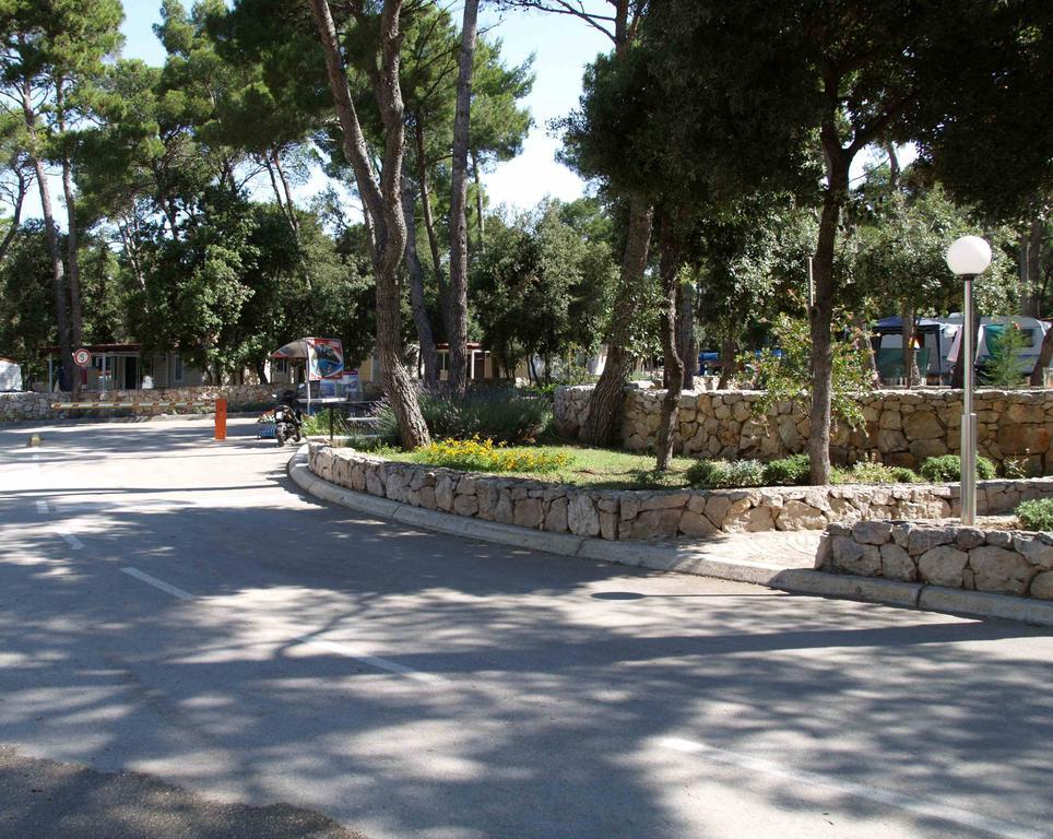 Pine And Lavander Home Biograd Na Moru Pokoj fotografie